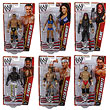 WWE Basic Figure Series 31 Action Figure Case